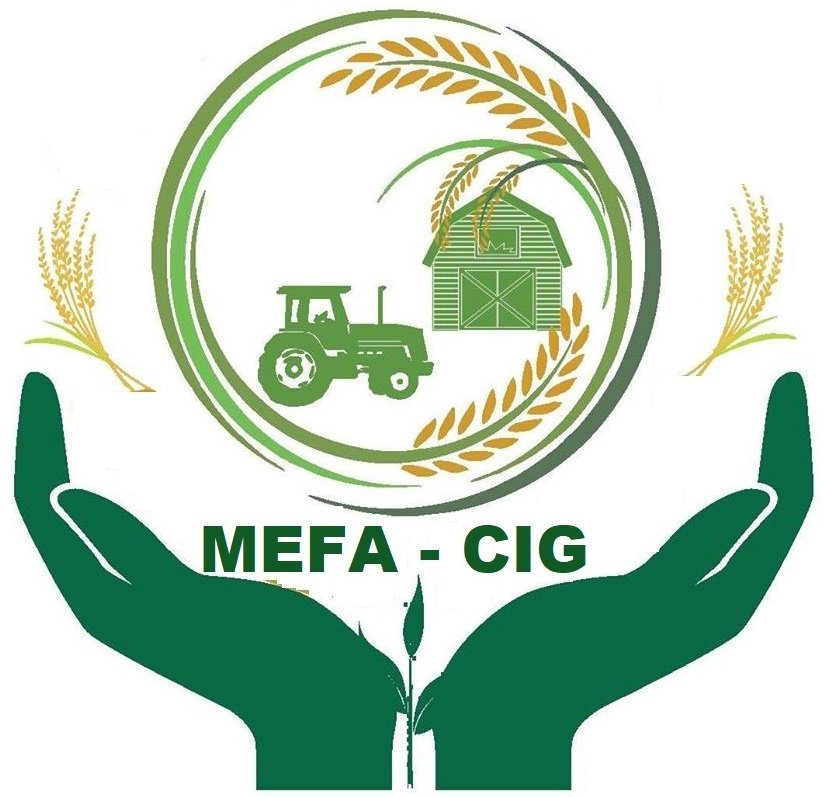 Mefa